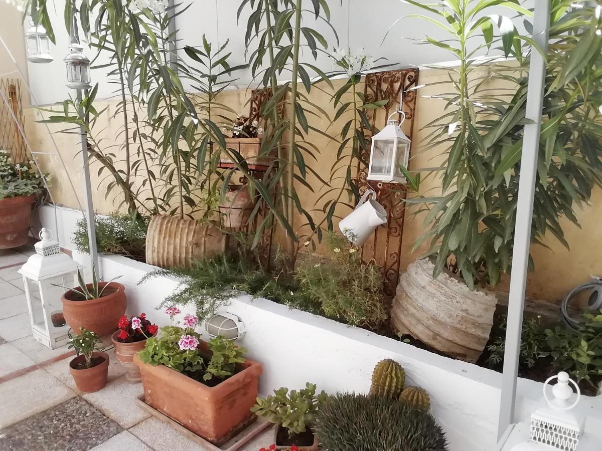 Amazing Semi-Basement Art Apartment Easy Walk To Nafplio Centre Exterior photo